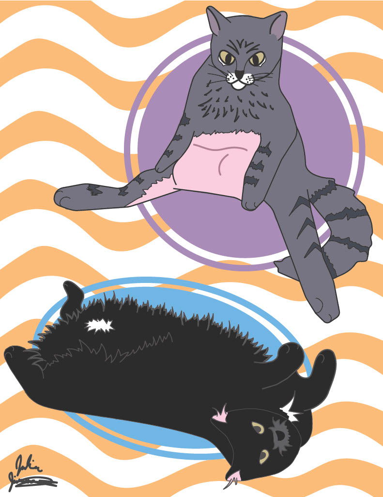 Custom Cat Drawing